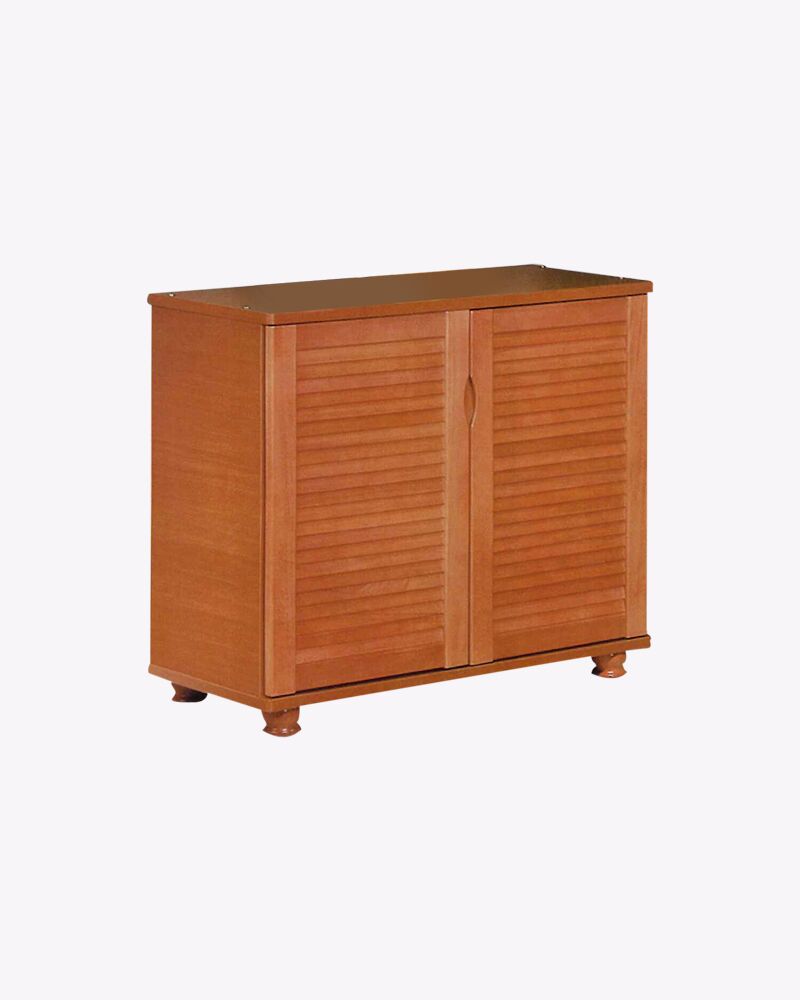 2 doors wooden shoe cabinet