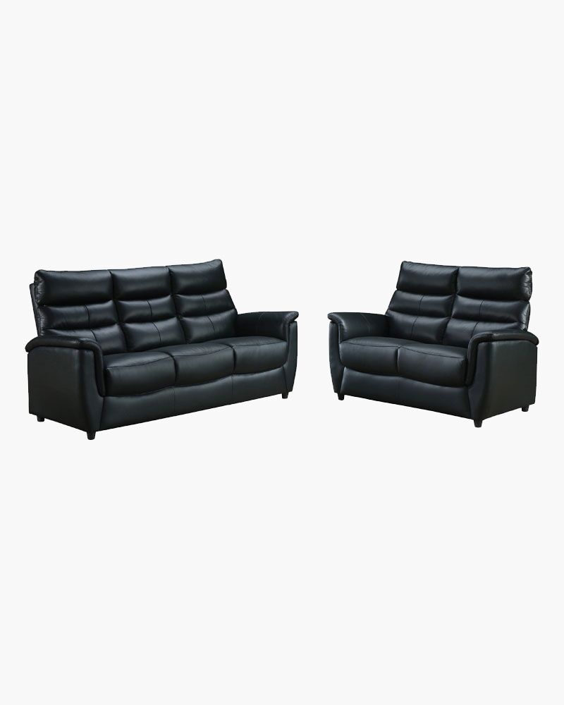 Two black leathered sofas