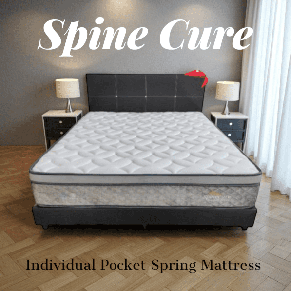 spine cure